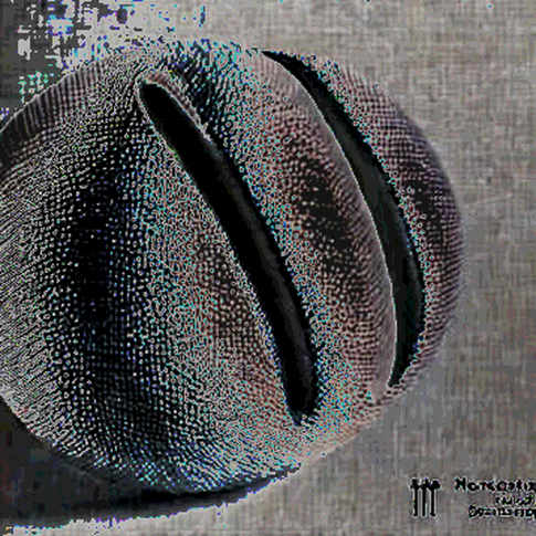 Codex Credits Burned by Context Compression. OpenAI's Band-Aid Is Not the Fix. Codex Credits Burned by Context Compression. OpenAI's Band-Aid Is Not the Fix.