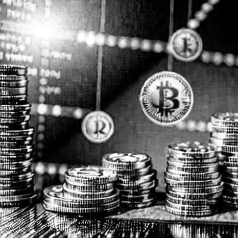 The Radical Honesty of 'N/A': Why an Empty Report Is the Bulwark Against Bull Market Delusion The Radical Honesty of 'N/A': Why an Empty Report Is the Bulwark Against Bull Market Delusion