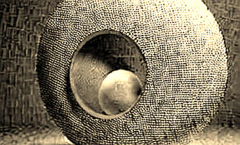 Apate's 200,000 AI Scam Baits Expose the Hidden Economics of Fraud Defense