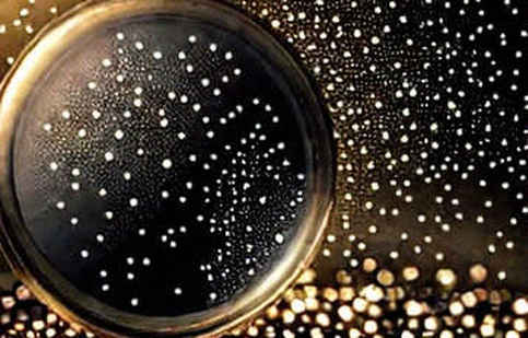 Starknet’s STRK20: A Privacy Framework or Another Infrastructure Mirage? Starknet’s STRK20: A Privacy Framework or Another Infrastructure Mirage?