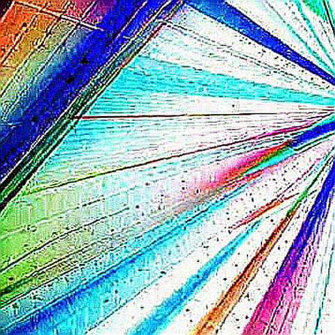 ARK's Circle Buy: A Signal of Institutional Faith or Another Layer of Systemic Risk?