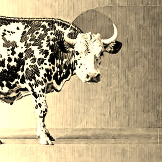 Nansen's Staking Play: Data Platform or Exit Liquidity Trap? Nansen's Staking Play: Data Platform or Exit Liquidity Trap?