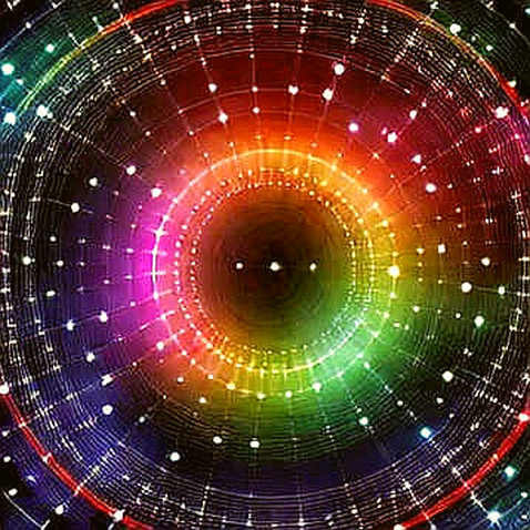 The Null Signal: When Empty Data Becomes a Trade