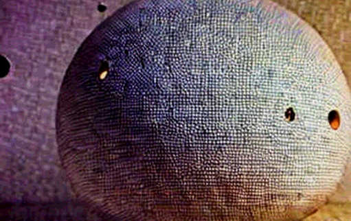 The Loudest Bug Report: When Deep Analysis Yields Only N/A The Loudest Bug Report: When Deep Analysis Yields Only N/A