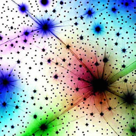 The Void Protocol: When Empty Data Is the Loudest Signal The Void Protocol: When Empty Data Is the Loudest Signal