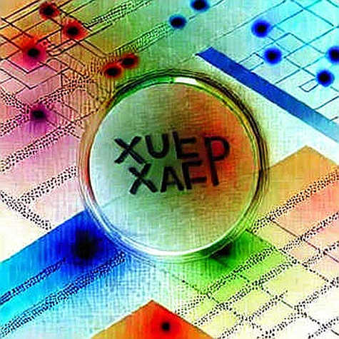 The Ledger of Silicon: Reading Nvidia's Tepid Guidance as a Liquidity Signal, Not a Growth Verdict The Ledger of Silicon: Reading Nvidia's Tepid Guidance as a Liquidity Signal, Not a Growth Verdict