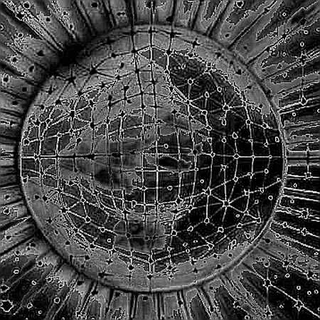 The Milei Meme Coin Meltdown: How a Court Order to Six Exchanges Rewrites the Regulatory Playbook