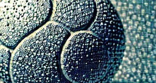 The Silence Between the Hash and the Human: Why Bitcoin's 'One Step Away' Is a Three-Body Problem The Silence Between the Hash and the Human: Why Bitcoin's 'One Step Away' Is a Three-Body Problem
