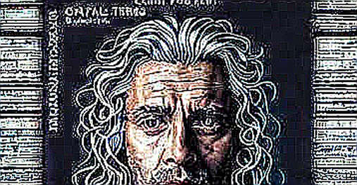 Jimothy: A Forensic Autopsy of the 52x Solana Meme Coin